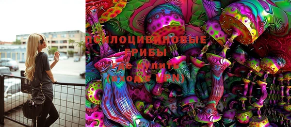 индика Аркадак