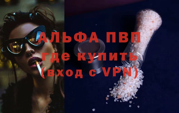 прущие грибы Армянск