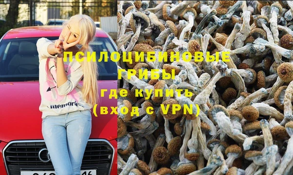 прущие грибы Армянск
