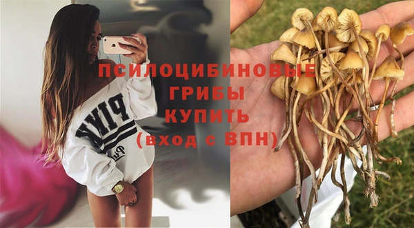 спайс Арсеньев