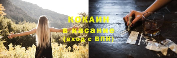 спайс Арсеньев