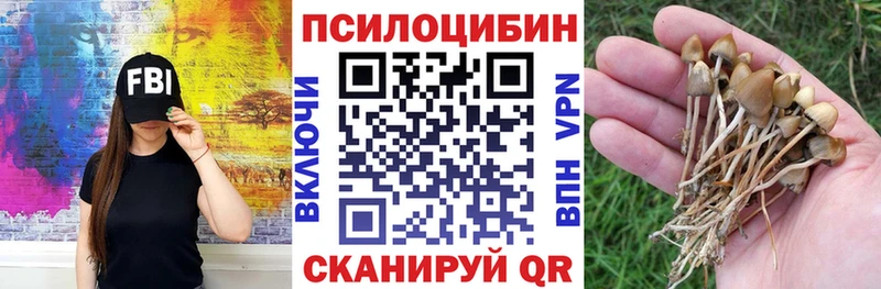 Галлюциногенные грибы Cubensis  ссылка на мегу ТОР  Клин 