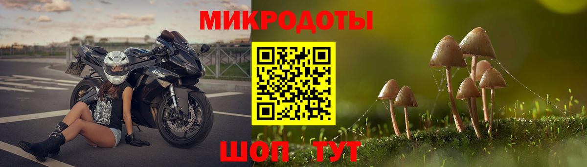 Клин  Псилоцибиновые грибы прущие грибы  Вход с VPN 